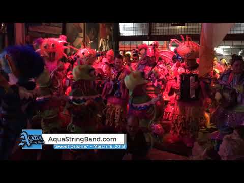 Aqua String Band: "Sweet Dreams" - Springfield, MA