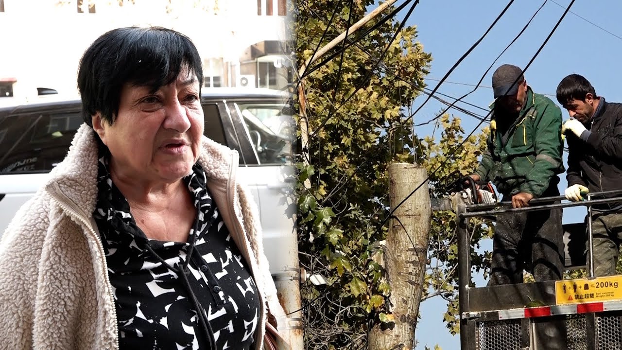 Տիգրան Մեծի վրա ծառերի սպանդ էր իրականացվում