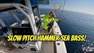 Monster Sea Bass Smack Down (Slow Pitch jigging)