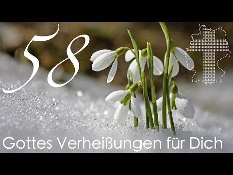 Gottes Verheißungen für Dich - Psalm 23,1 | Videokalender 58/365 - Deutschland braucht JESUS