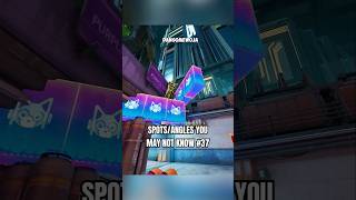 Spots/Angles You May Not Know #37 - FragPunk