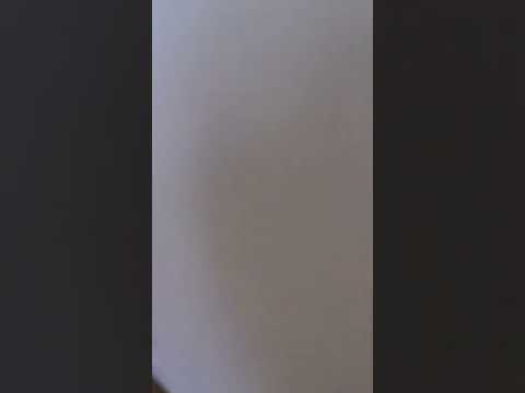 2528 W Wells St. - Video 2 of 2