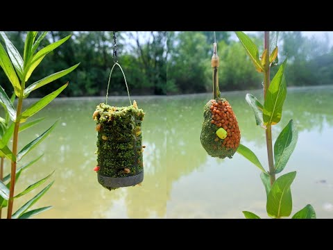 Šarani na Zeleni Groundbait,brat protiv brata ep.2! Open End ili Method Feeder !?