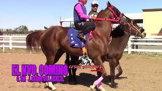 EL VILLA EL NUEVO COMINO EL VITAMINAS  LA MENTIROSA   HIT  2