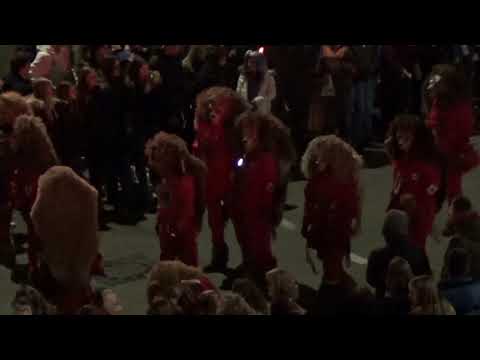 Nachtumzug der Berkheimer Narren | 23.02.2019 um 19:11 Uhr (Teil 1/2)