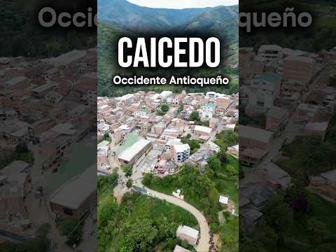 Caicedo Antioquia 🚲⛰️🇨🇴 en bici por Antioquia #caicedo