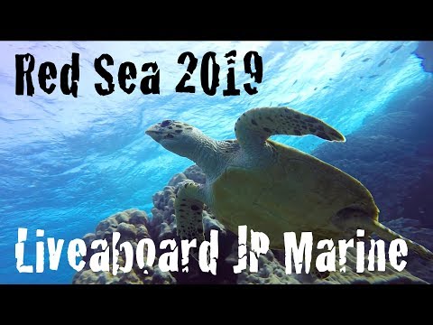 Red Sea 2019 | Liveaboard | JP Marine | St. Johns Reefs
