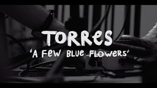 A Few Blue Flowers Music Video