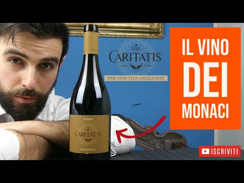 Questo vino è Da comprare a CASSE! 4K #Larecensione Pax Caritatis di Via Caritatis