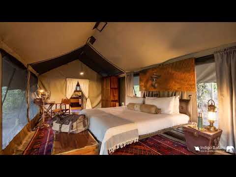 Get Wild in Botswana on a Private Fly-In Safari