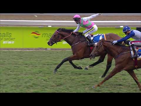 JET DARK -  HKJC WORLD POOL CHAMPIONS CUP