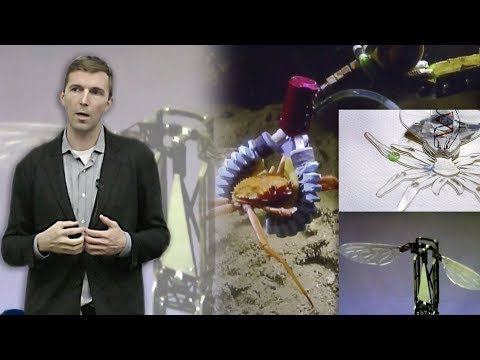 RI Seminar: Robert J. Wood : The Mechanical Side of Artificial Intelligence