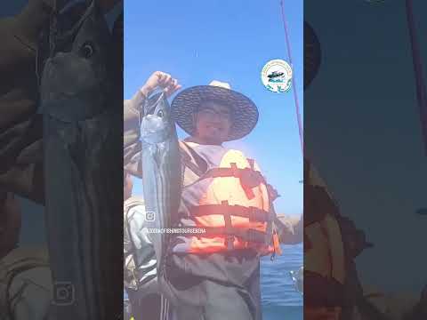 Accion total atunes en coquimbo 