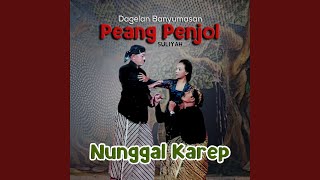 Download lagu Nunggal Karep mp3