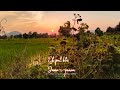 Enjoy The Beauty Of Nature With The Song