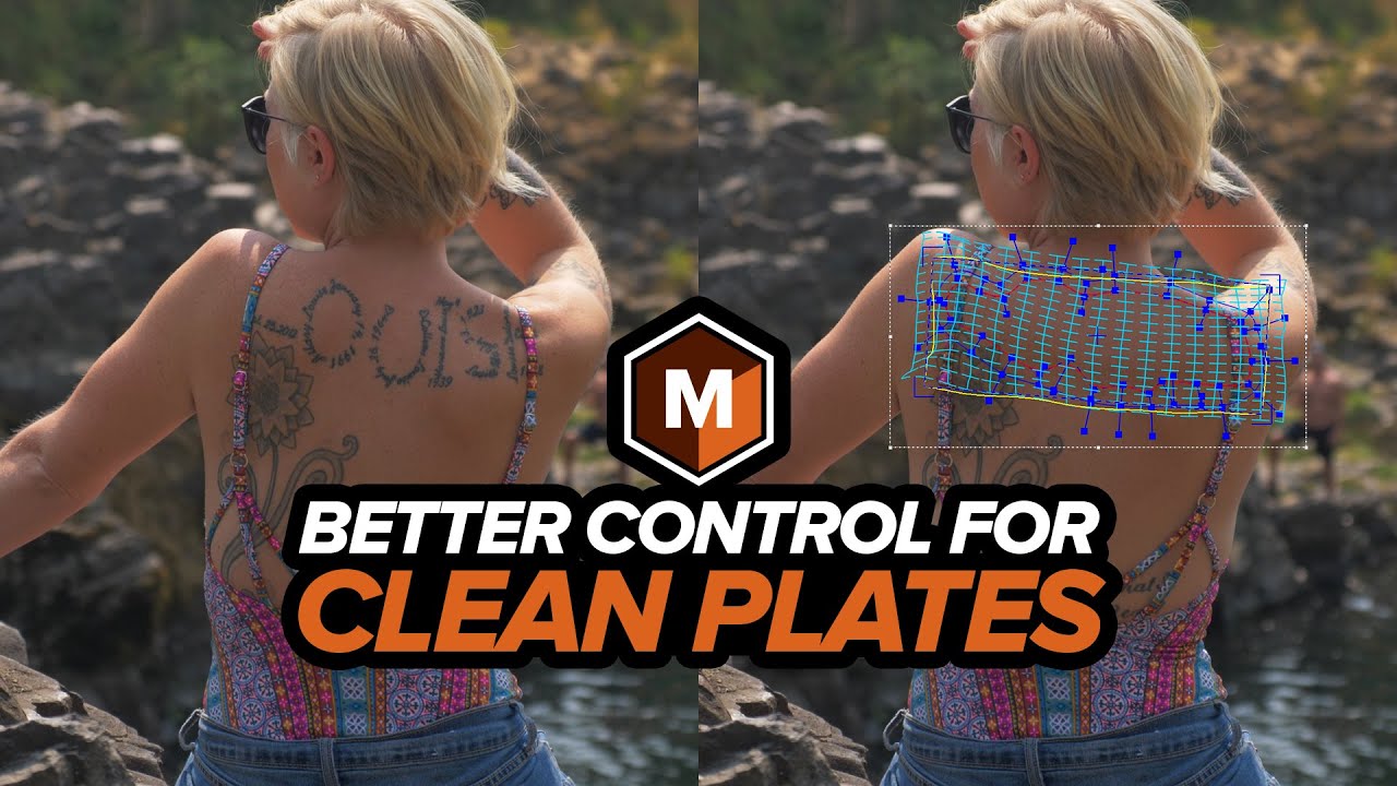 Mocha Pro: Better Control for Clean Plates