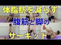 体脂肪を減らす腹筋と脚のサーキット【レッスン動画】