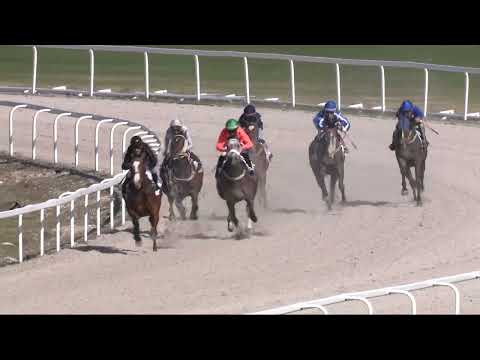 2022.04.17. 05. futam - KÁPOSZTÁSMEGYERI DÍJ (HUN Gd-3) (szintetikus pálya)