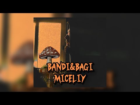Bandi&Bagi - Miceliy