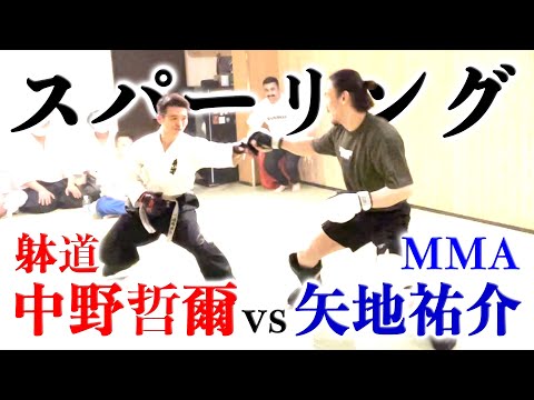 【スパーリング解説】激突!! MMA 矢地祐介選手vs躰道 中野哲爾先生（ヤッチくんチャンネル達人トーナメント）