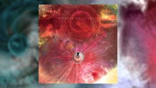 ANIMALS AS LEADERS - The Future That Awaited Me
