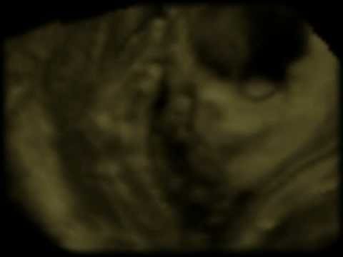 MÚSICA PARA ASTRONAUTAS - Ernesto Baca [Trailer Oficial]