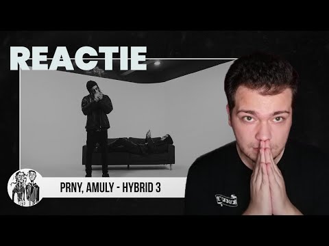 Povestea continua.. PUNCT pe PRNY & AMULY - HYBRID 3 | REACȚIE