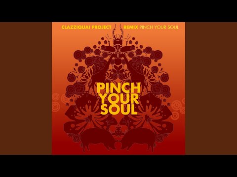 Color Your Soul Pinch Your Remix - Clazziquai…