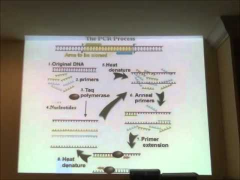 JSC 2014 2015   Agricultural Science Lecture 1   GMOs