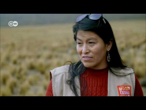 ZonaDocu - La ruta interoceánica - Hacia Lima por el desierto | Documentales