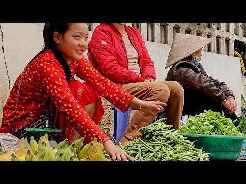 Grandpa's Bean Garden: Sua and Grandpa Tend to the Farm While Pao's Away | Sung A Pao