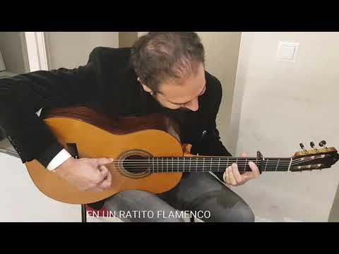 DIEGO DE MORAO - FALSETA POR BULERIA