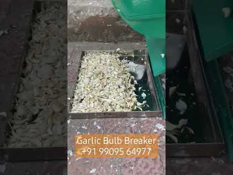 Garlic Bulb Cutter videos