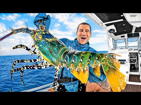 4 Tage Bootscamping – Auf der Suche nach Meeresbewohnern