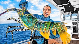 4 días de acampada en barco: ¡Explorando criaturas marinas!