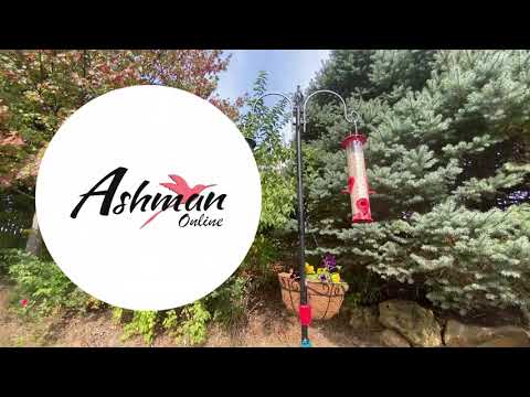 Deluxe Bird Feeding Station: Hanging Multiple Bird Feeder Stand Kit with 4 Hangers. @5T1 Garden