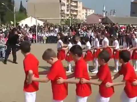 Penguen Dansı Gösterisi