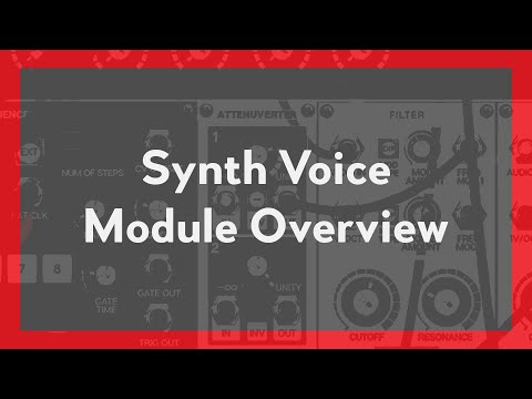 Voltage Modular | Synth Voice Module Overview