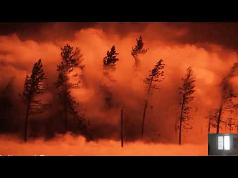 Fallout: New California ingame trailer