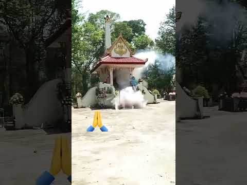 දැක්ක්කද ඒ ආශ්චර්ය 🙏🙏#trending #shorts