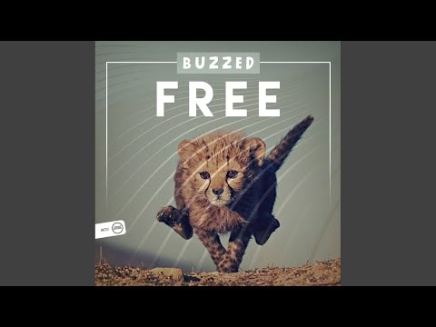 Free (Original Mix)