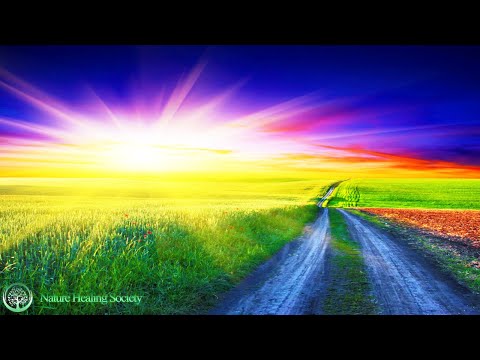 THE BEST GOOD MORNING MUSIC 💖 528HZ NEW Positive Energy - Mediation Healing Relaxing Wake Up Music