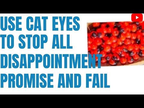 How To Stop Disappointments, Promise And Fail Using Cat Eyes