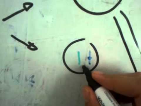 Genetisch bedingte Krankheiten: nummerische Chromosomenabberation