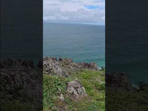 double island point lighthouse