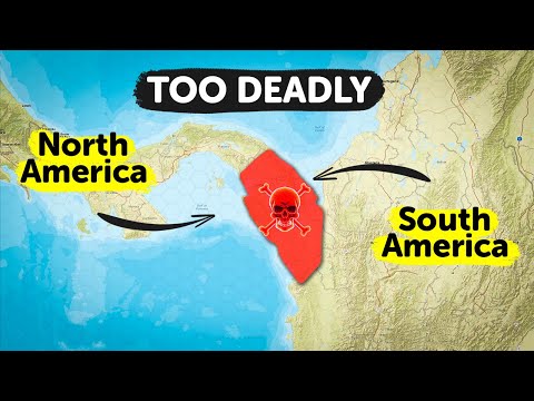 Darien Gap: The Terrifying Truth About the World's Most Dangerous Road!