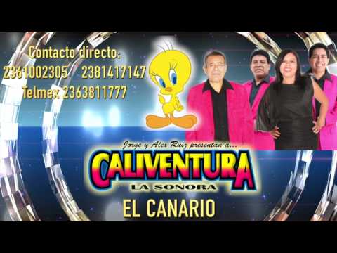 Caliventura La Sonora - El Canario