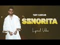 Senorita (LYRICS) – Tony Kakkar | Young Desi