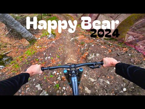 Happy bear Sinaia 2024