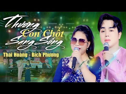 THƯƠNG CON CHỐT SANG SÔNG - Thái Hoàng, Bích Phương Song Ca Giữa Vụ Đấu Tố "Cạch Mặt" Nhau